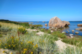 Riesige Findlinge � wie hier in der Bucht von K�smu � findet man an vielen Orten im Lahemaa-Nationalpark. Sie kamen vor 10.000 Jahren mit dem Eis aus Finnland.